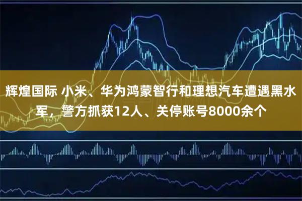 辉煌国际 小米、华为鸿蒙智行和理想汽车遭遇黑水军，警方抓获12人、关停账号8000余个