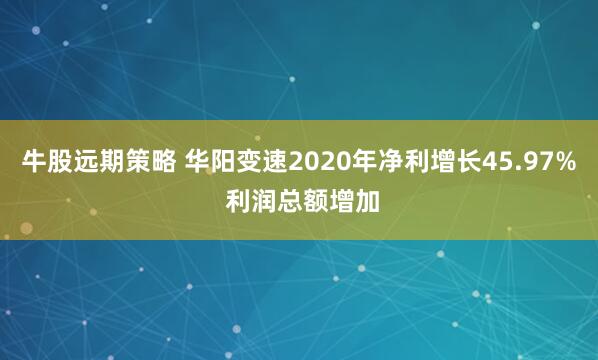 牛股远期策略 华阳变速2020年净利增长45.97% 利润总额增加